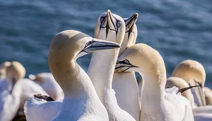 九游娱乐-赛事转播技术升级，虚拟现实带来沉浸式体验，转播赛事可以收费吗