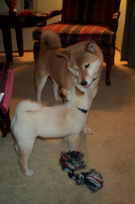 争夺欧冠席位:积分榜上的激烈追逐,欧冠夺冠球队排名