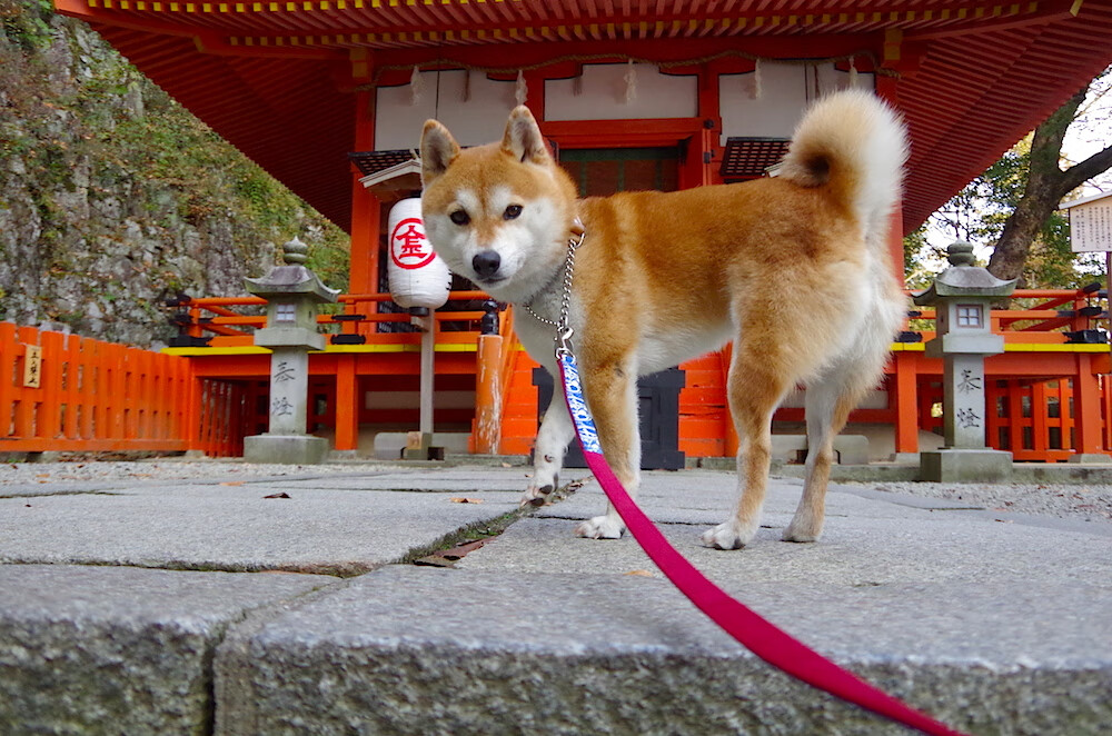 九游游戏中心-国脚训练内容公开展示科学严谨，国家队国脚