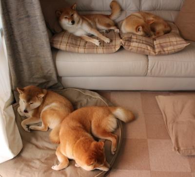 未来联盟:虚拟现场+沉浸式互动开启全新娱乐纪元!,未来联盟巨星