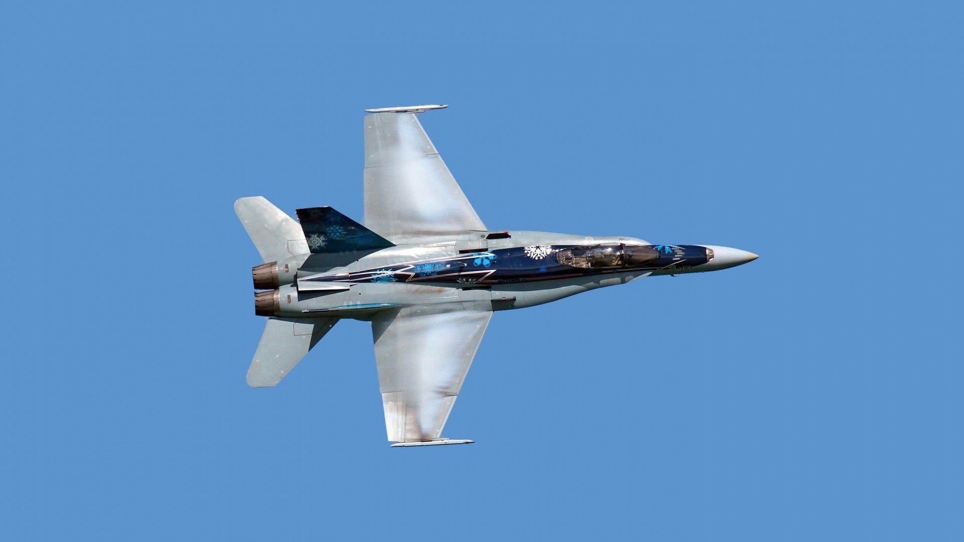 上海海港主场气氛火热,上海海港足球主场