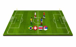 九游app-青少年体育运动安全保障体系研究，推动青少年体育事业蓬勃发展的文件