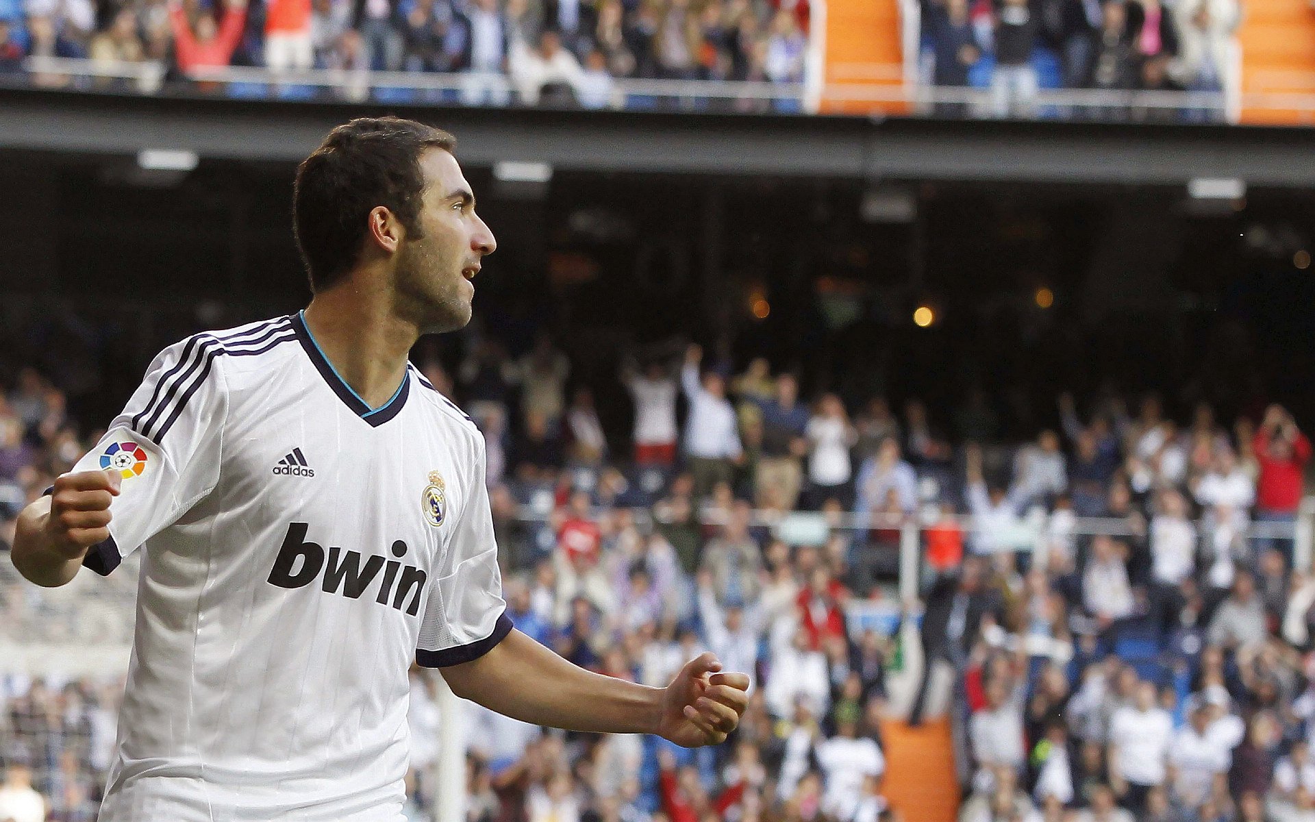 九游app下载中心-“香港跑步盛事！SHO-CHAN Run 2025点燃运动激情”